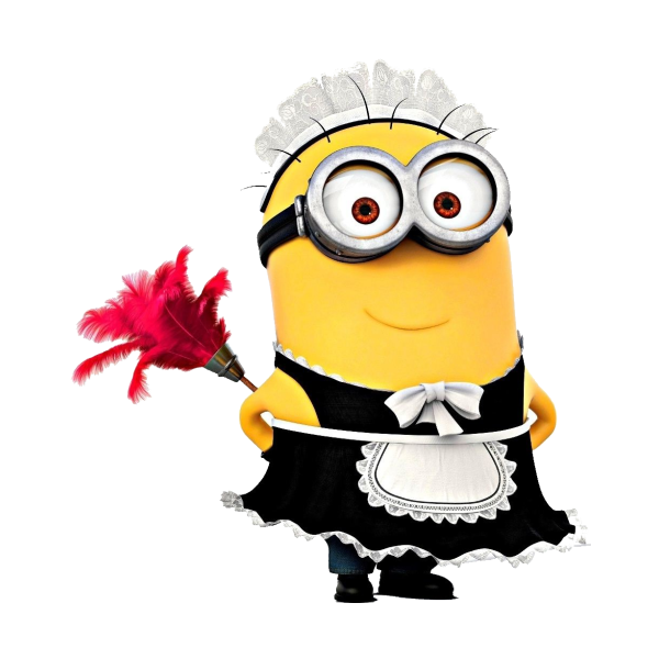 house cleaning service