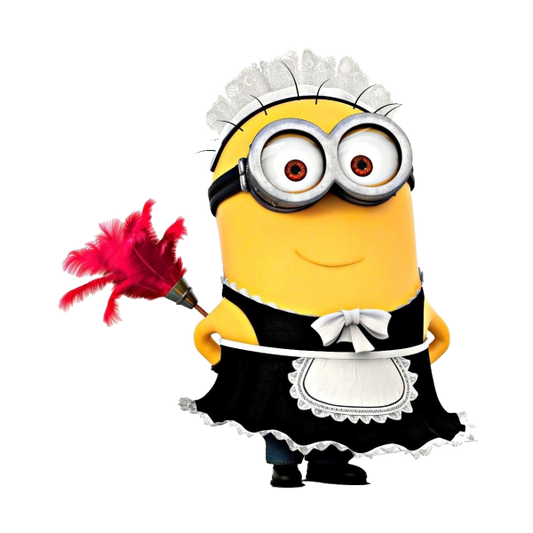 house cleaning service